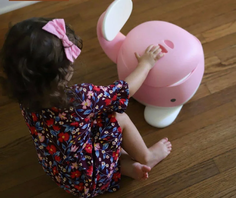 Potty Training Chair